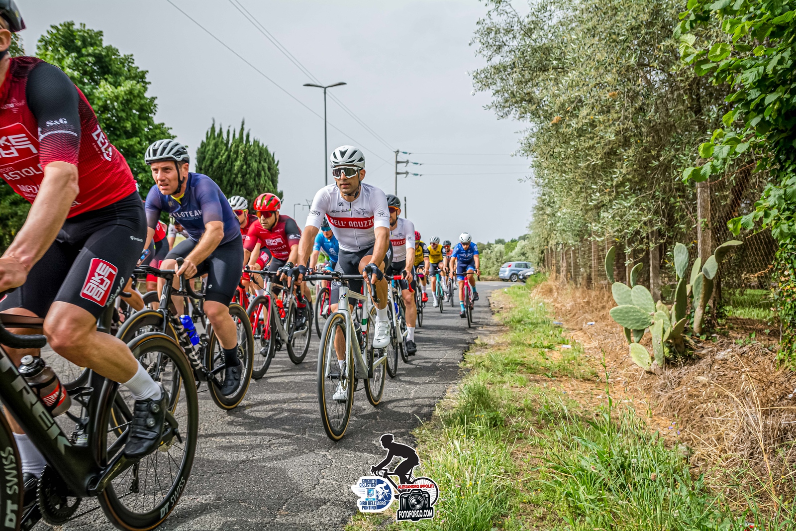 Trofeo Rossetti 2