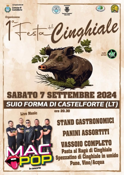 Festa_Cinghiale